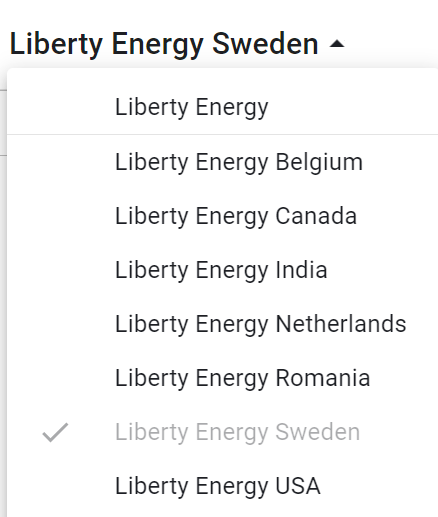 Business units 2.png